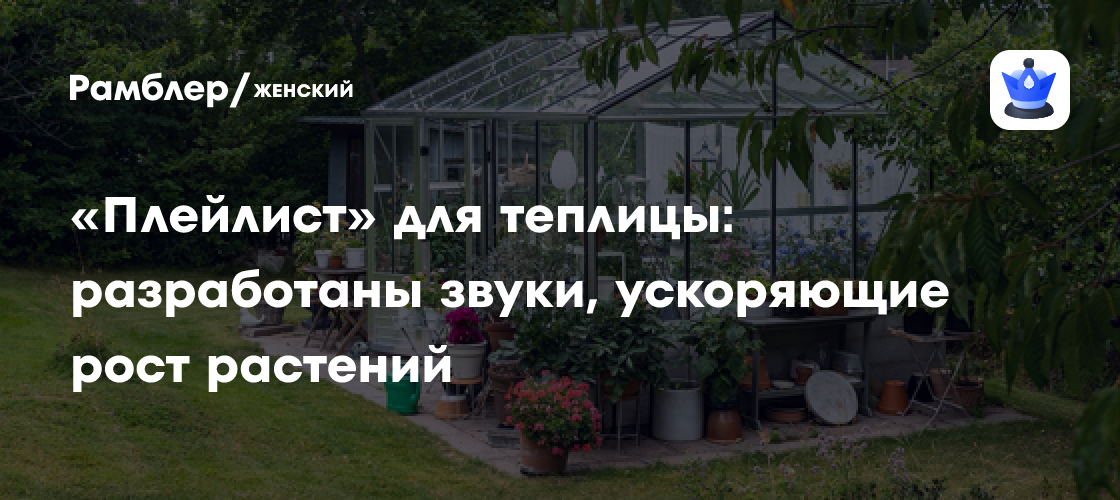 «Плейлист» для теплицы: разработаны звуки, ускоряющие рост растений