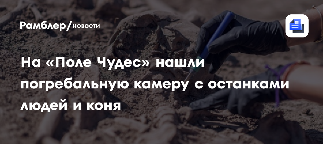 На «Поле Чудес» нашли погребальную камеру с останками людей и коня