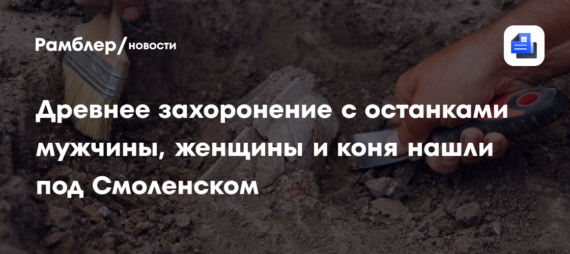 Археологи нашли в Гнездове древнее захоронение с останками людей и коня