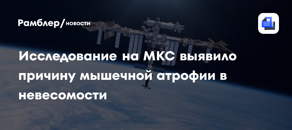 Исследование на МКС выявило причину мышечной атрофии в невесомости