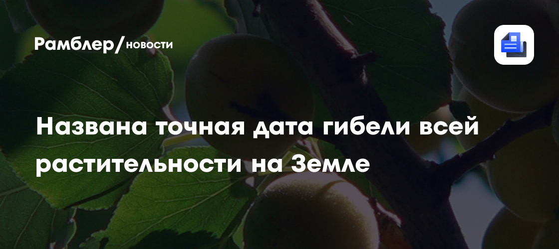 Ученые назвали точную дату гибели всей растительности на Земле