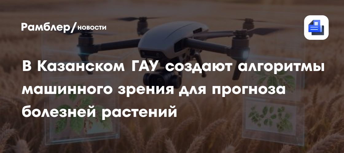 В Казанском ГАУ создают алгоритмы машинного зрения для прогноза болезней растений