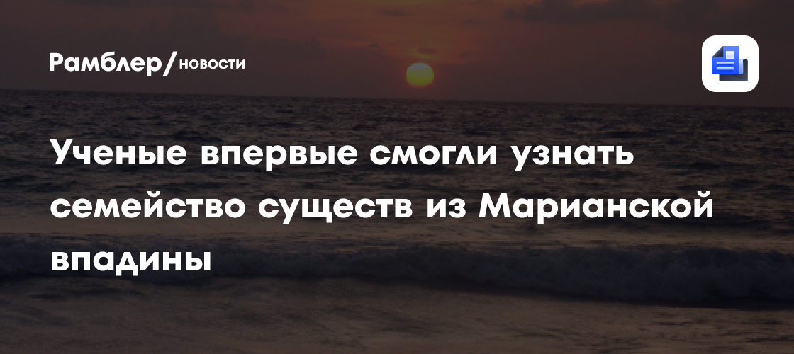 Учёные впервые смогли узнать семейство существ из Марианской впадины