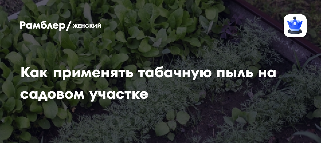 Как применять табачную пыль на садовом участке