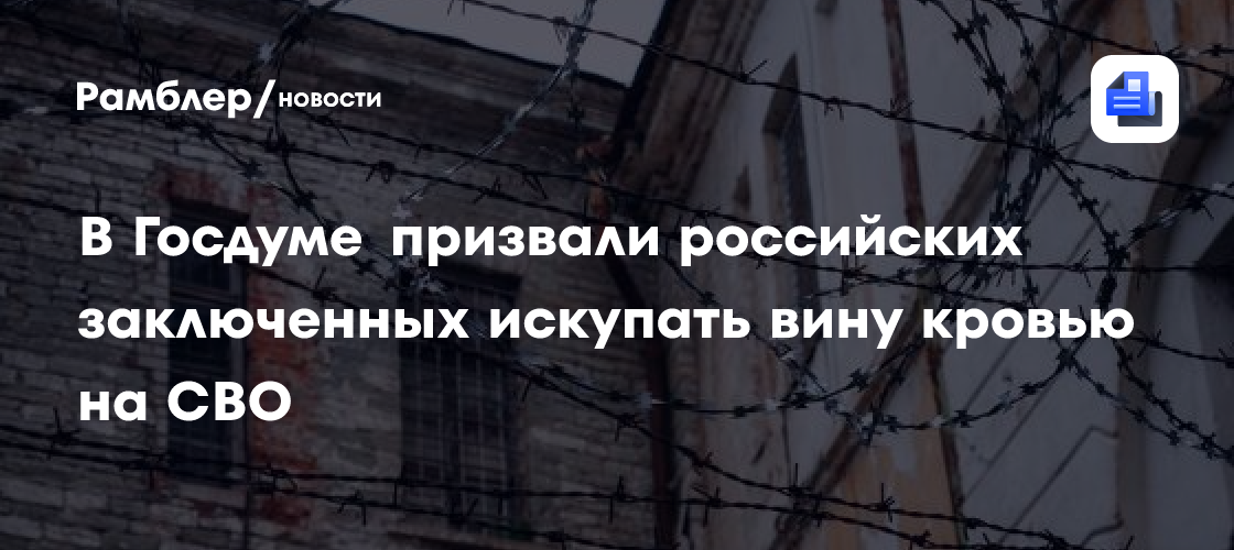 В Госдуме призвали российских заключенных искупать вину кровью на СВО
