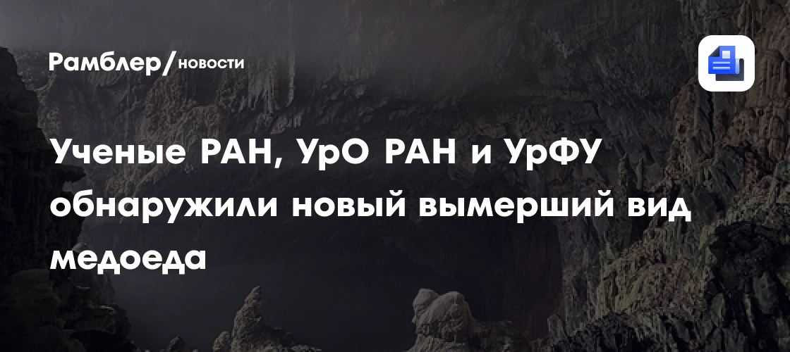 Российские ученые обнаружили новый вымерший вид медоеда