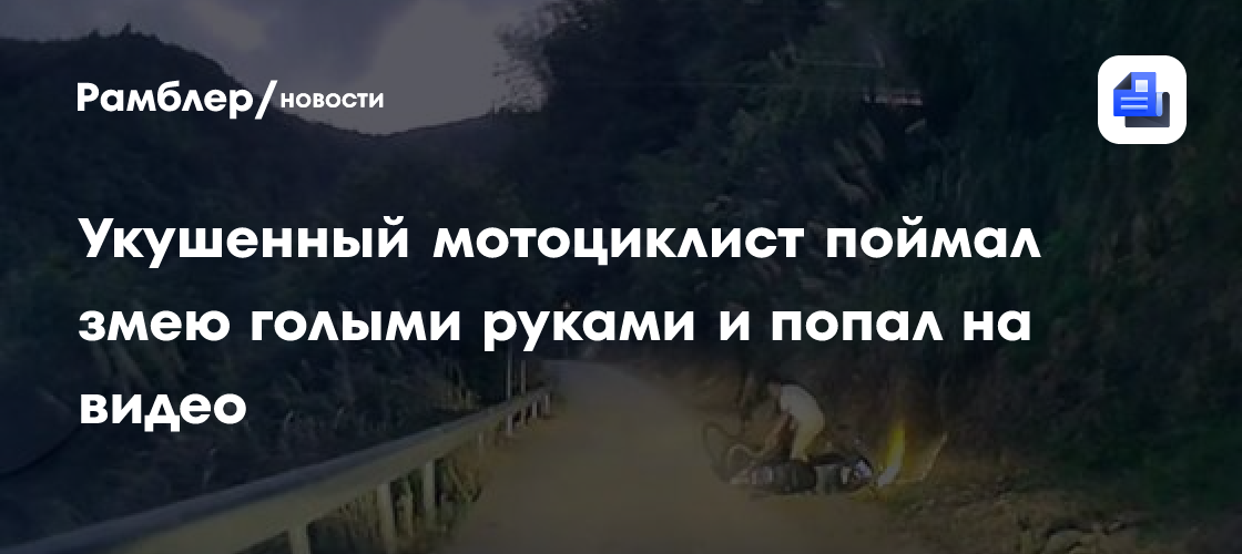 Укушенный мотоциклист поймал змею голыми руками и попал на видео