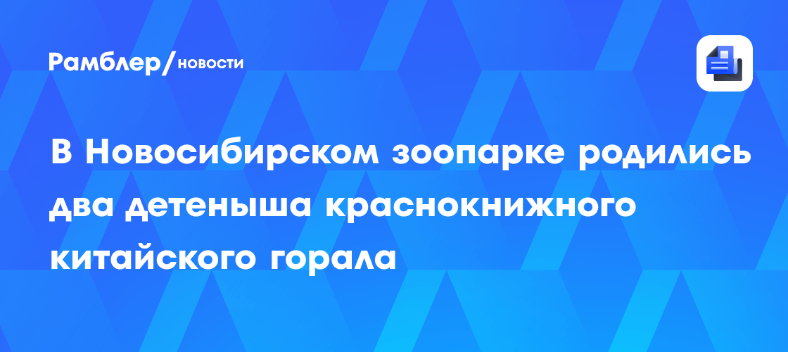 В Новосибирском зоопарке родились два детеныша краснокнижного китайского горала