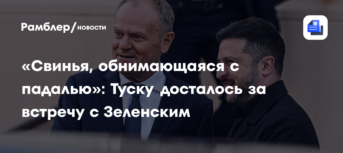 «Свинья, обнимающаяся с падалью»: Туску досталось за встречу с Зеленским