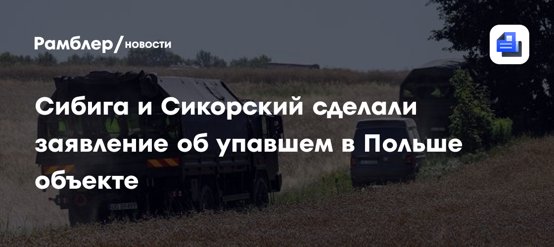 Сибига и Сикорский сделали заявление об упавшем в Польше объекте
