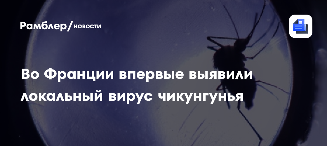Во Франции впервые выявили локальный вирус чикунгунья