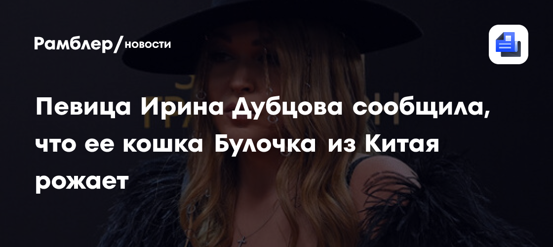 Певица Ирина Дубцова сообщила, что ее кошка Булочка из Китая рожает
