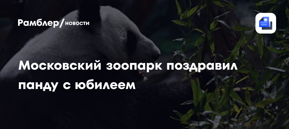 Московский зоопарк поздравил панду с юбилеем