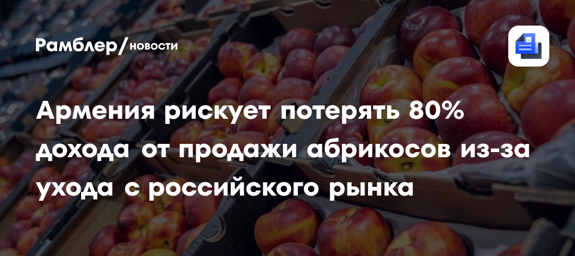 Армения рискует потерять 80% дохода от продажи абрикосов из-за ухода с российского рынка
