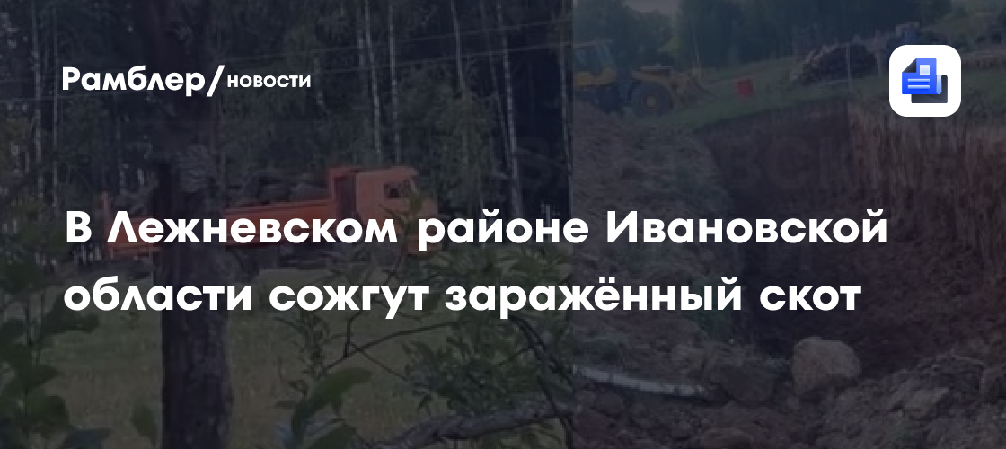 В Лежневском районе Ивановской области сожгут заражённый скот