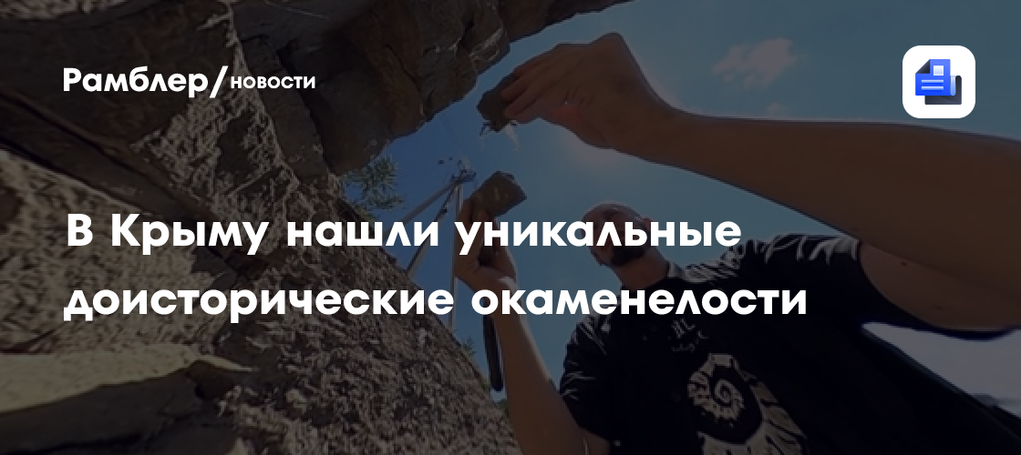В Крыму нашли уникальные доисторические окаменелости