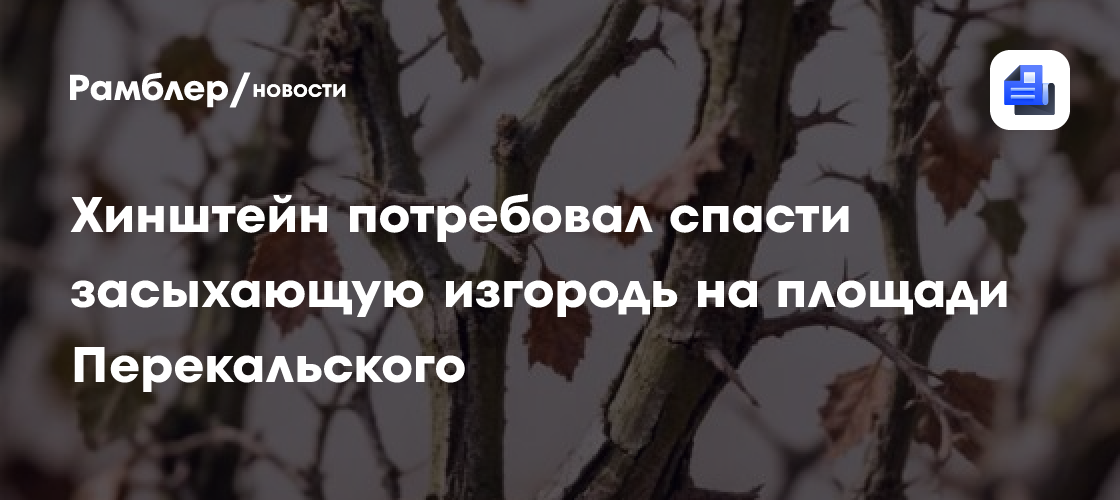 Хинштейн потребовал спасти засыхающую изгородь на площади Перекальского