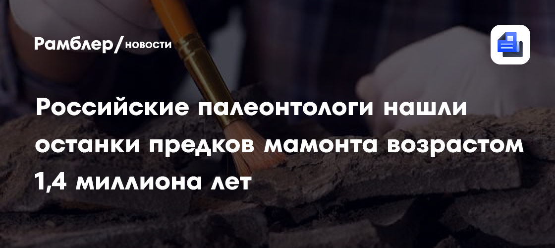 Российские палеонтологи нашли останки предков мамонта возрастом 1,4 миллиона лет