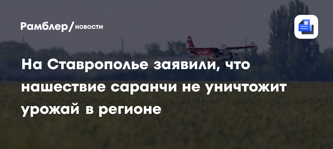 На Ставрополье заявили, что нашествие саранчи не уничтожит урожай в регионе