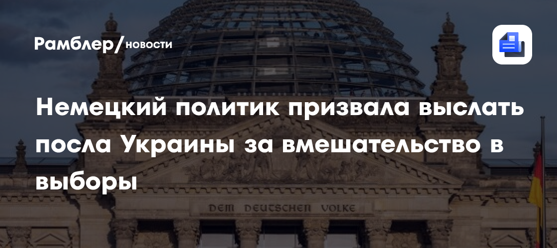 Немецкий политик призвала выслать посла Украины за вмешательство в выборы