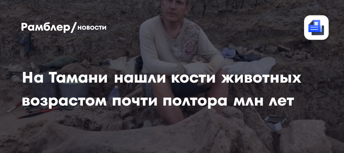 На Тамани нашли каменные орудия и кости животных возрастом 1,4 млн лет