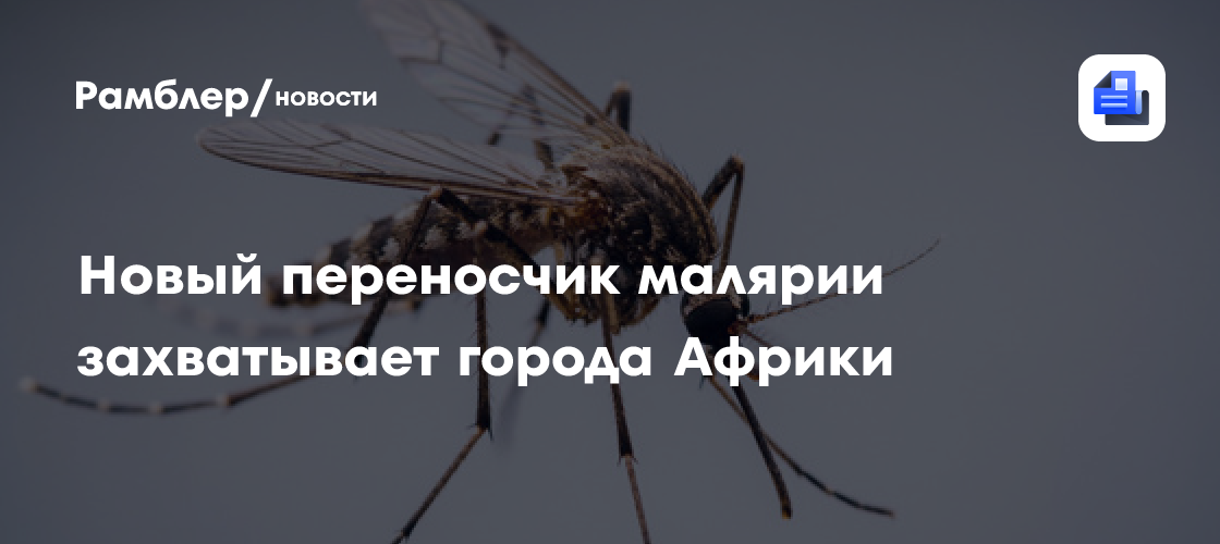 Новый переносчик малярии захватывает города Африки