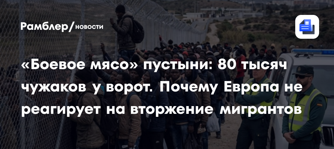 «Боевое мясо» пустыни: 80 тысяч чужаков у ворот. Почему Европа не реагирует на вторжение мигрантов