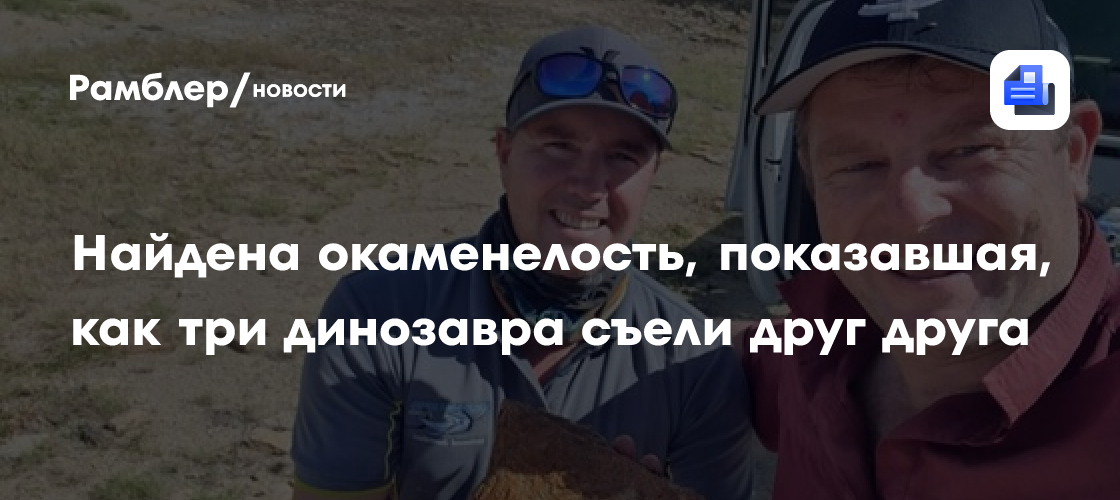 Археологи нашли окаменелость, показавшую, как три хищника съели друг друга
