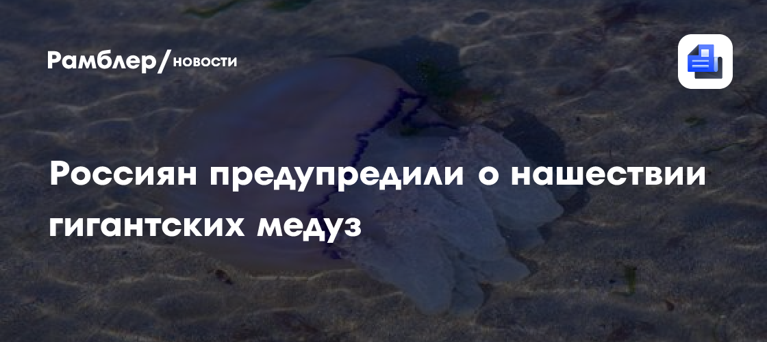 Россиян предупредили о нашествии гигантских медуз