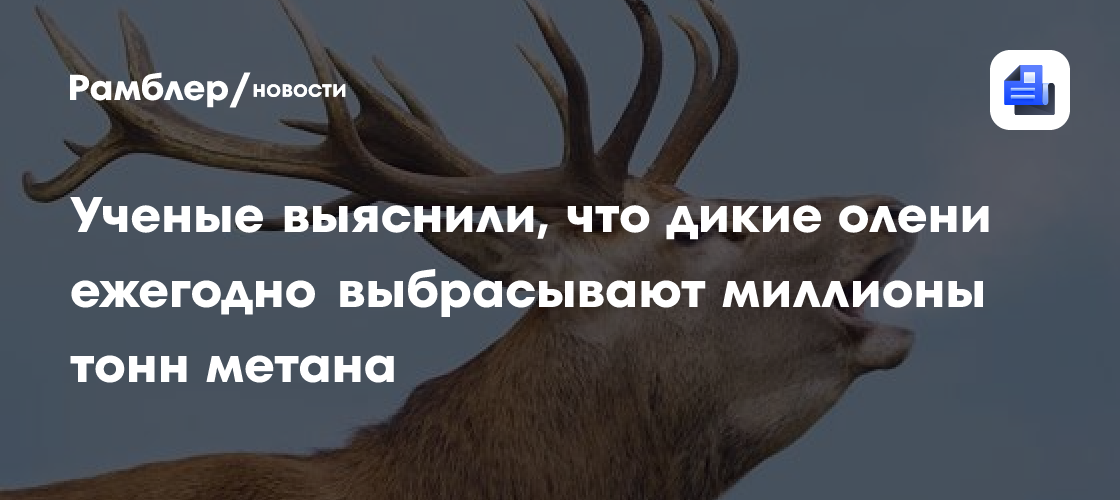 Ученые выяснили, что дикие олени ежегодно выбрасывают миллионы тонн метана