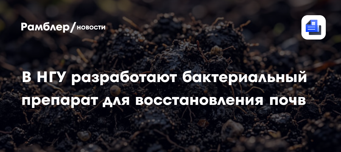 В НГУ разработают бактериальный препарат для восстановления почв