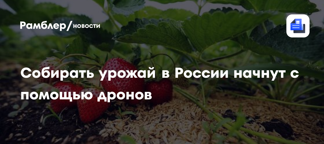 Собирать урожай в России начнут с помощью дронов