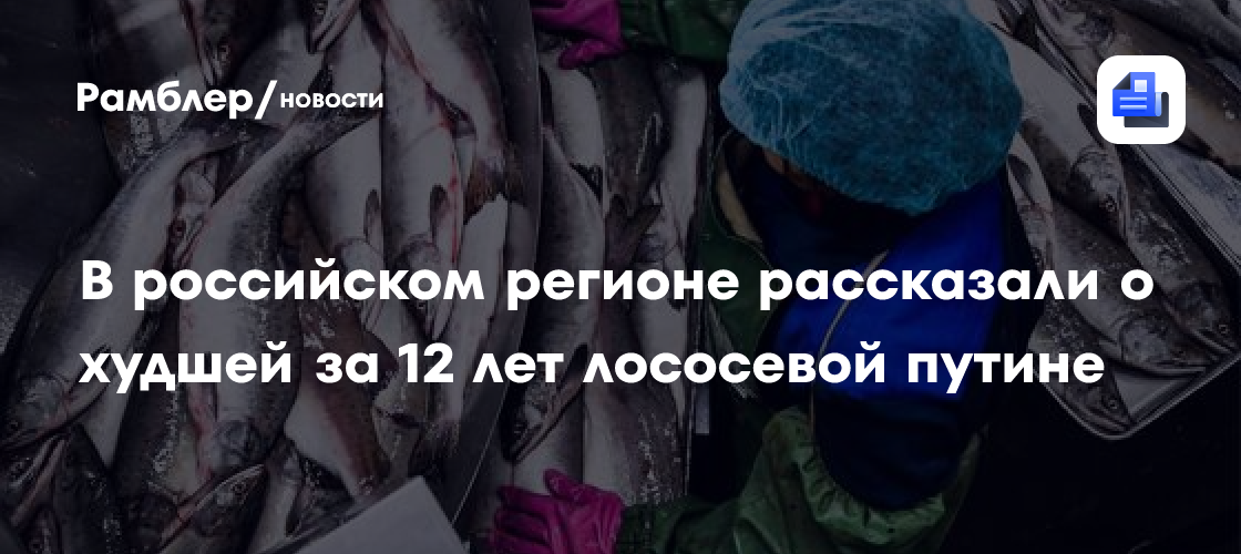 В российском регионе рассказали о худшей за 12 лет лососевой путине