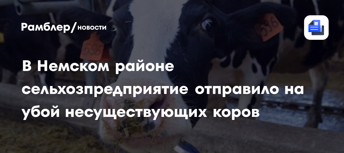 В Немском районе сельхозпредприятие отправило на убой несуществующих коров