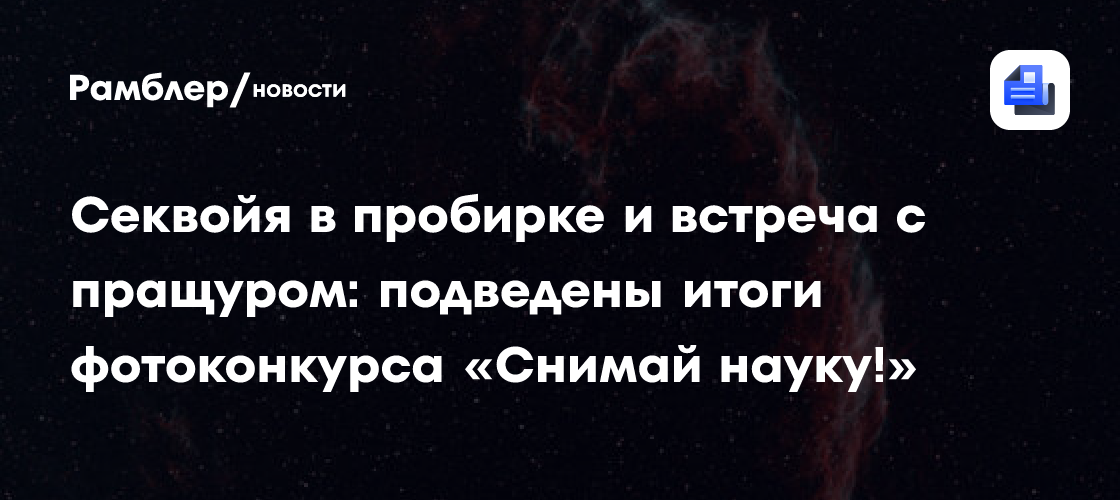 Секвойя в пробирке и встреча с пращуром: подведены итоги фотоконкурса «Снимай науку!»