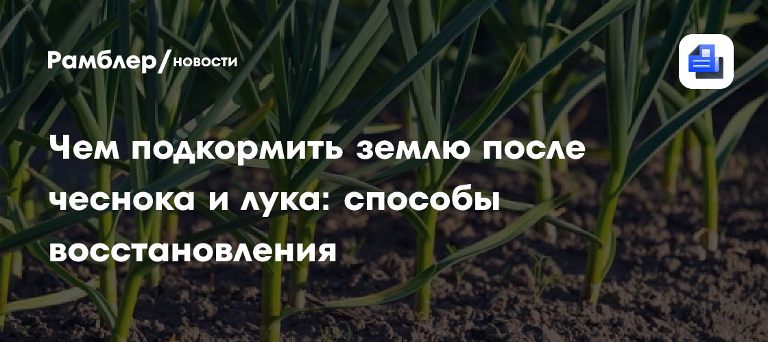 Чем подкормить землю после чеснока и лука: способы восстановления