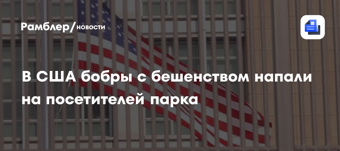 В США бобры с бешенством напали на посетителей парка