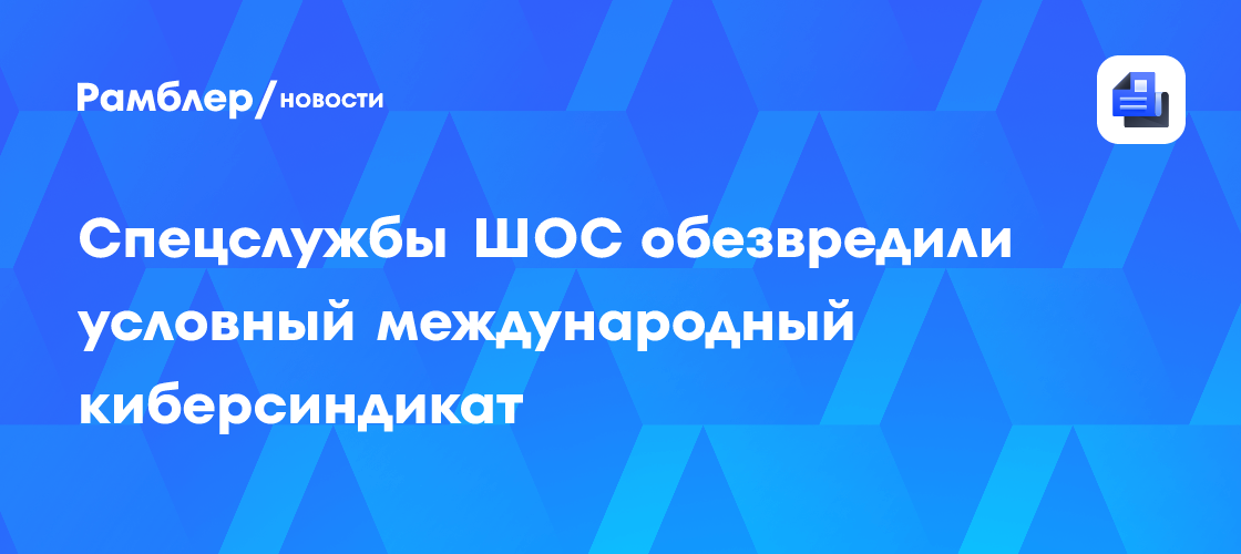 Спецслужбы ШОС обезвредили условный международный киберсиндикат